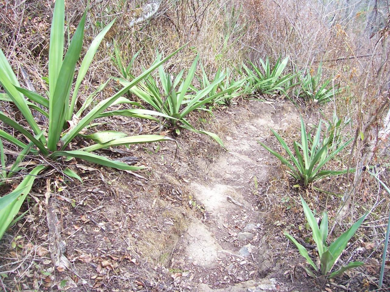 Rumi Wilco Ecolodge&Nature Reserve Vilcabamba Exterior foto